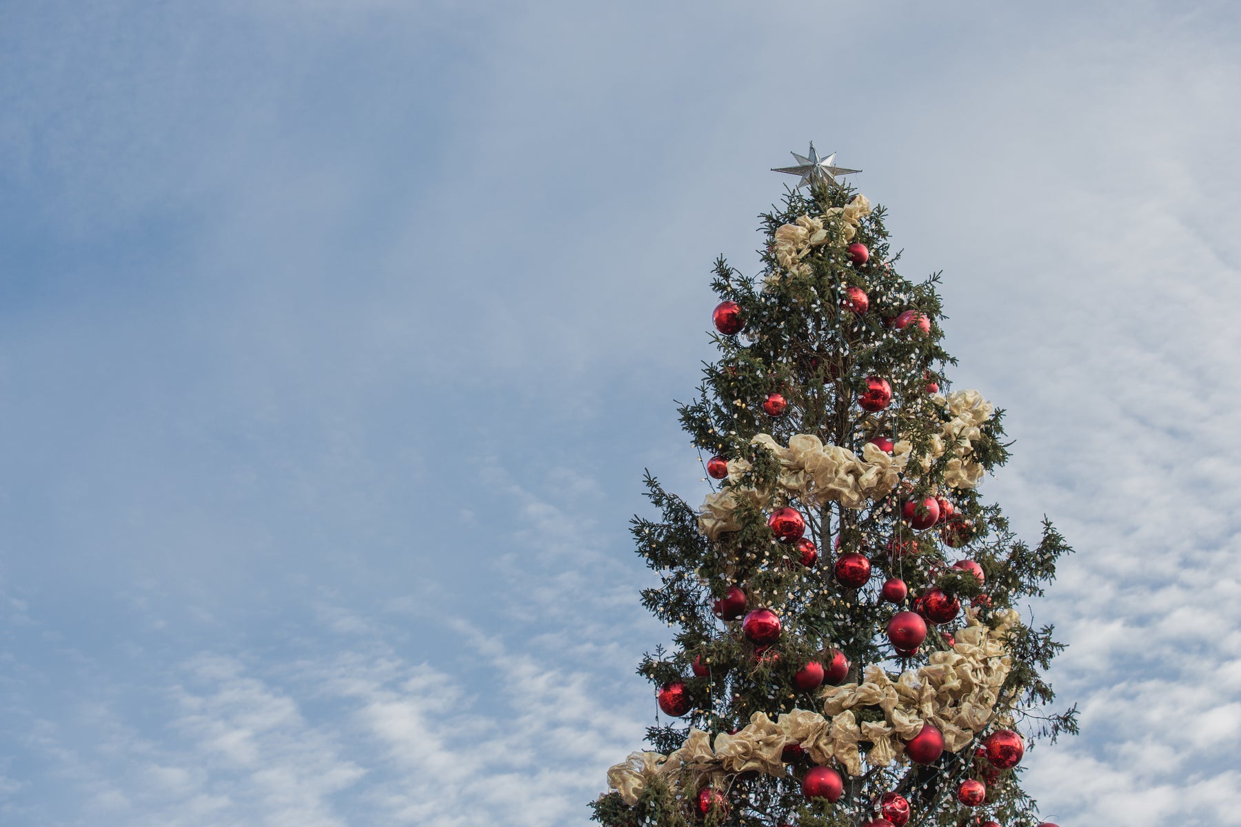 Shop Christmas in July