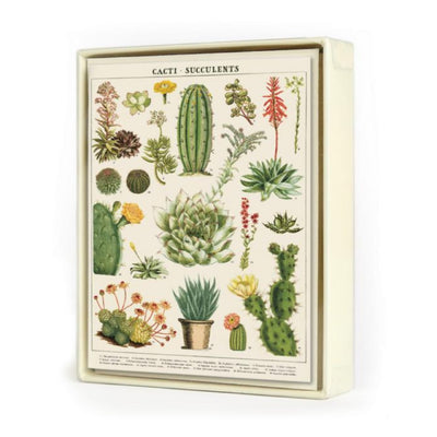 Succulents Assorted Boxed Notecards